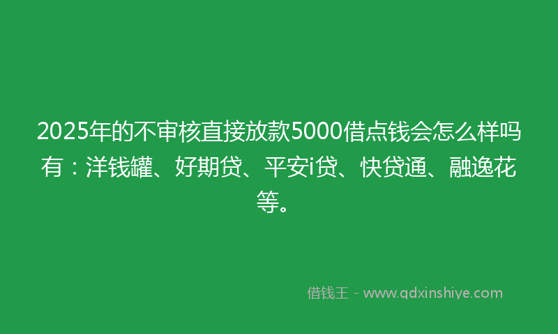2025年的不审核直接放款5000借点钱会怎么样吗有：洋钱罐、好期贷、平安i贷、快贷通、融逸花等。