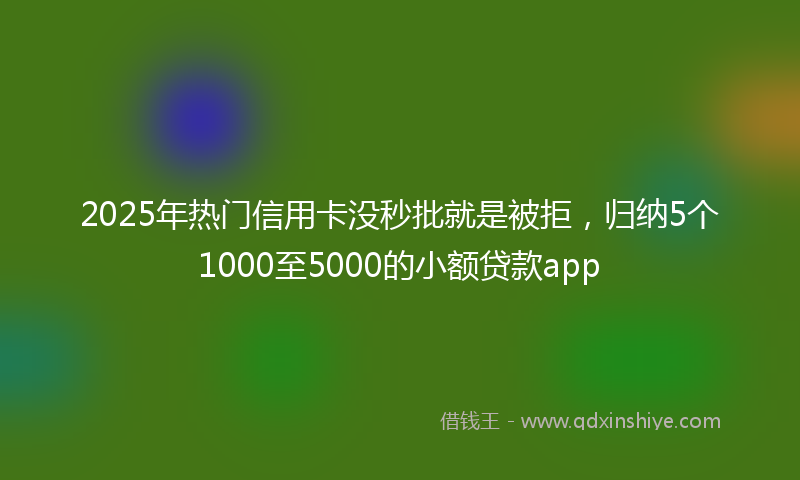 2025年热门信用卡没秒批就是被拒，归纳5个1000至5000的小额贷款app