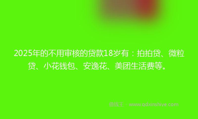 2025年的不用审核的贷款18岁有：拍拍贷、微粒贷、小花钱包、安逸花、美团生活费等。