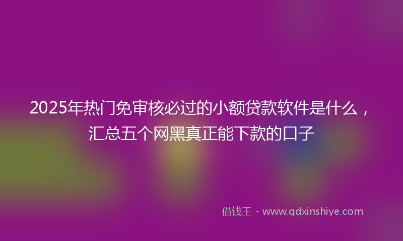 2025年热门免审核必过的小额贷款软件是什么，汇总五个网黑真正能下款的口子