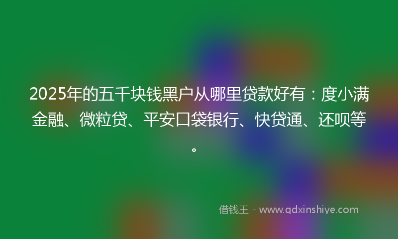 2025年的五千块钱黑户从哪里贷款好有：度小满金融、微粒贷、平安口袋银行、快贷通、还呗等。