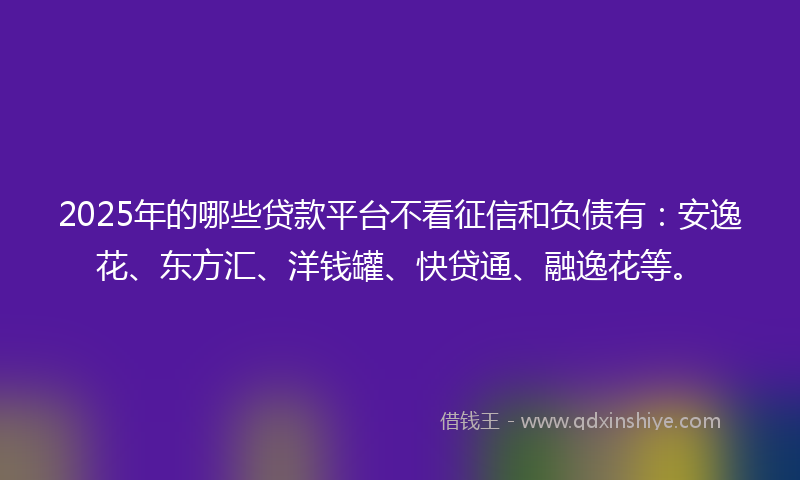 2025年的哪些贷款平台不看征信和负债有：安逸花、东方汇、洋钱罐、快贷通、融逸花等。