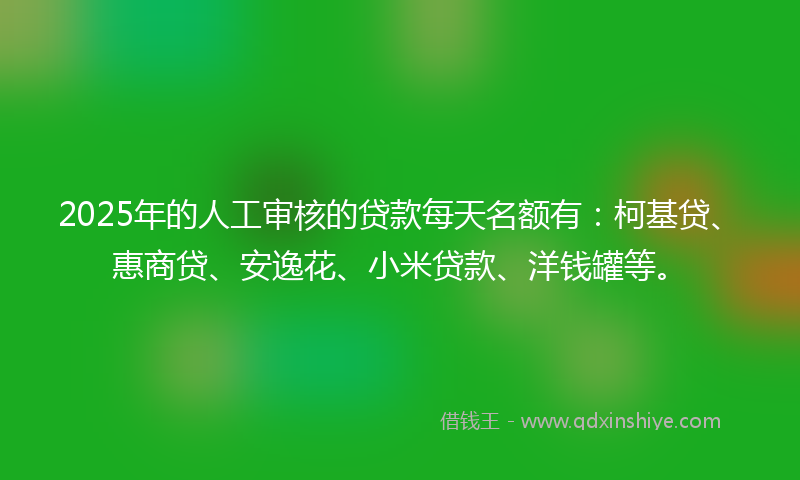 2025年的人工审核的贷款每天名额有：柯基贷、惠商贷、安逸花、小米贷款、洋钱罐等。
