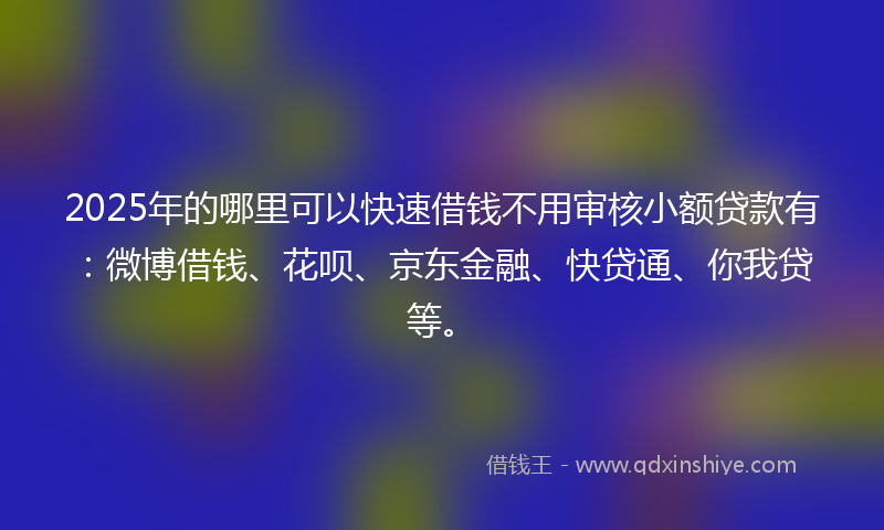 2025年的哪里可以快速借钱不用审核小额贷款有：微博借钱、花呗、京东金融、快贷通、你我贷等。