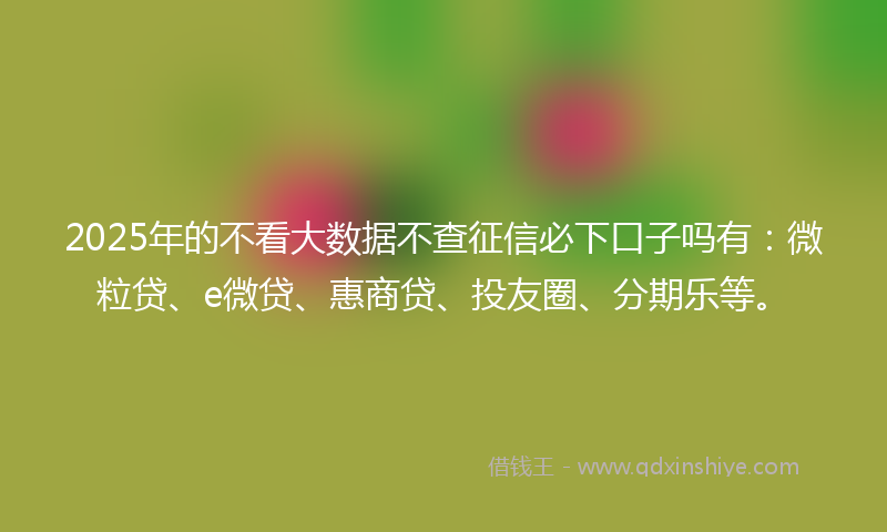 2025年的不看大数据不查征信必下口子吗有：微粒贷、e微贷、惠商贷、投友圈、分期乐等。