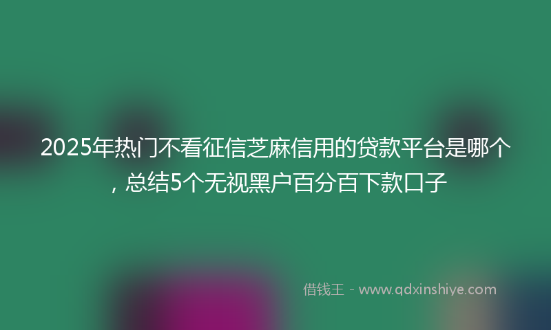 2025年热门不看征信芝麻信用的贷款平台是哪个，总结5个无视黑户百分百下款口子