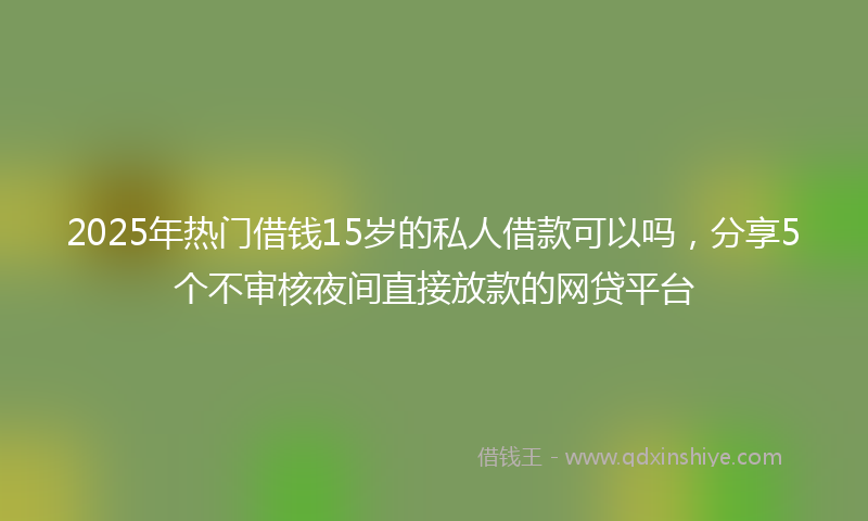 2025年热门借钱15岁的私人借款可以吗，分享5个不审核夜间直接放款的网贷平台