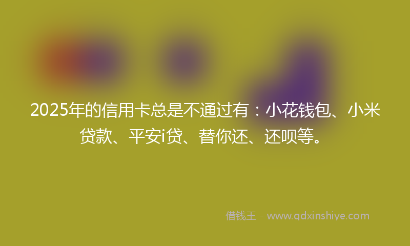 2025年的信用卡总是不通过有：小花钱包、小米贷款、平安i贷、替你还、还呗等。