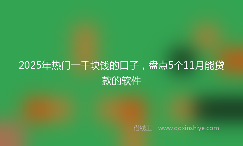2025年热门一千块钱的口子，盘点5个11月能贷款的软件