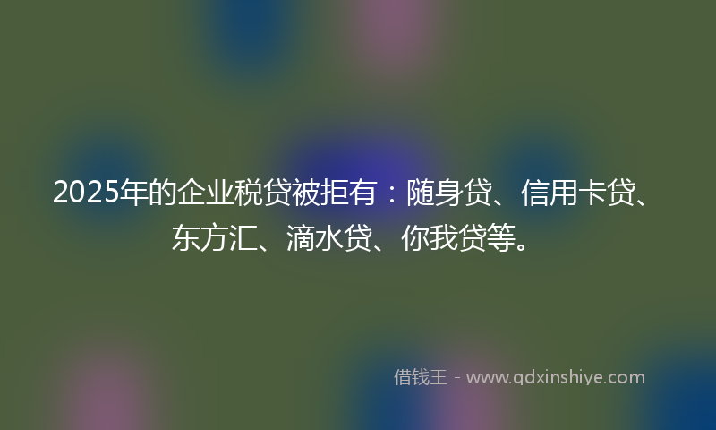 2025年的企业税贷被拒有：随身贷、信用卡贷、东方汇、滴水贷、你我贷等。