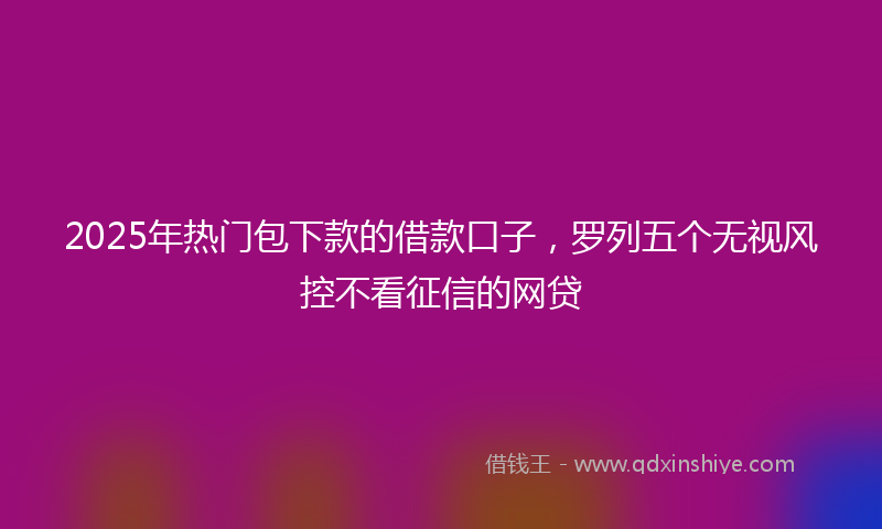 2025年热门包下款的借款口子，罗列五个无视风控不看征信的网贷