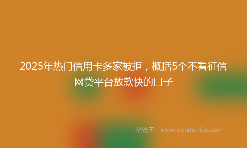 2025年热门信用卡多家被拒，概括5个不看征信网贷平台放款快的口子