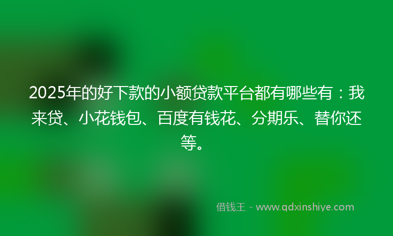 2025年的好下款的小额贷款平台都有哪些有：我来贷、小花钱包、百度有钱花、分期乐、替你还等。