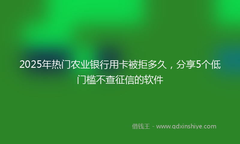 2025年热门农业银行用卡被拒多久，分享5个低门槛不查征信的软件