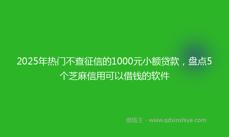2025年热门不查征信的1000元小额贷款，盘点5个芝麻信用可以借钱的软件