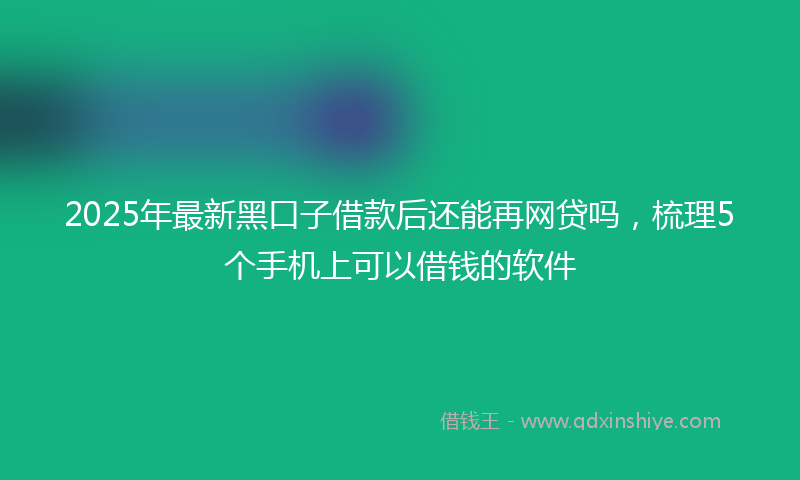 2025年最新黑口子借款后还能再网贷吗，梳理5个手机上可以借钱的软件
