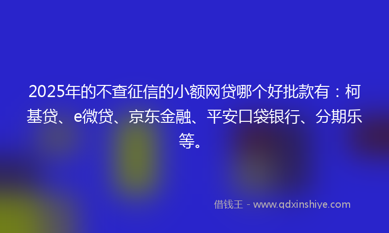 2025年的不查征信的小额网贷哪个好批款有：柯基贷、e微贷、京东金融、平安口袋银行、分期乐等。