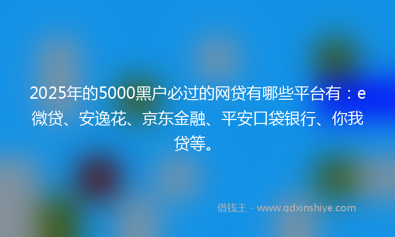 2025年的5000黑户必过的网贷有哪些平台有：e微贷、安逸花、京东金融、平安口袋银行、你我贷等。