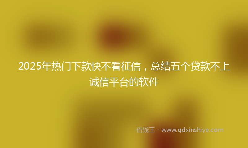 2025年热门下款快不看征信，总结五个贷款不上诚信平台的软件