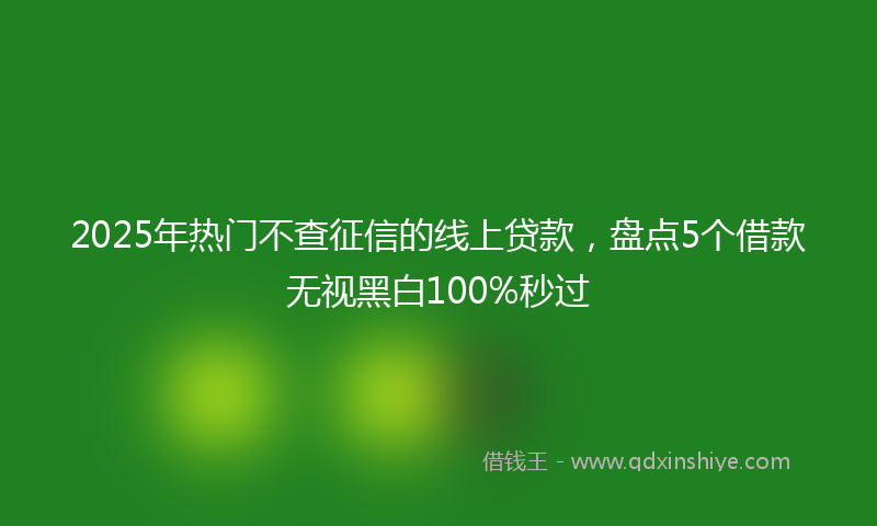 2025年热门不查征信的线上贷款，盘点5个借款无视黑白100%秒过