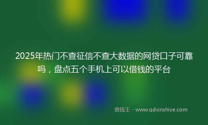 2025年热门不查征信不查大数据的网贷口子可靠吗，盘点五个手机上可以借钱的平台