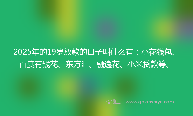 2025年的19岁放款的口子叫什么有：小花钱包、百度有钱花、东方汇、融逸花、小米贷款等。