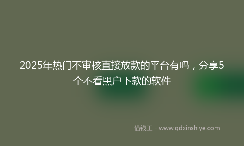 2025年热门不审核直接放款的平台有吗，分享5个不看黑户下款的软件