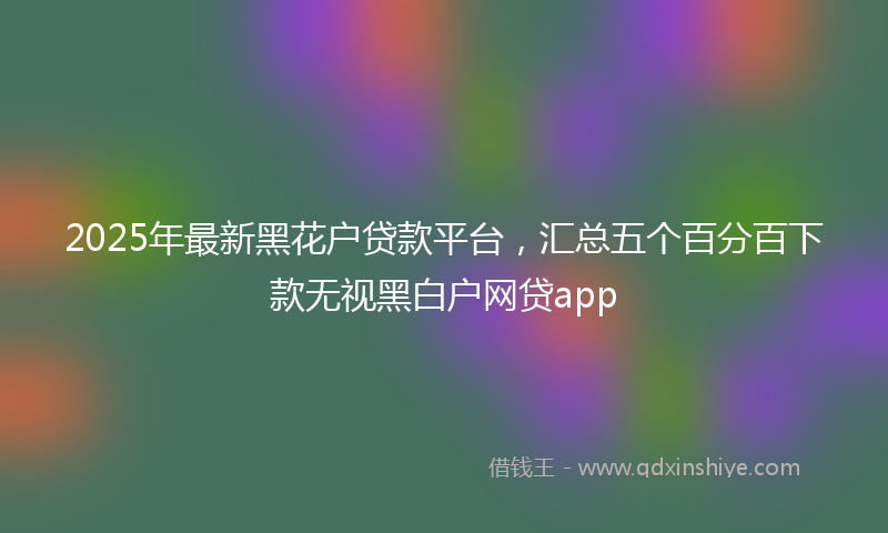 2025年最新黑花户贷款平台，汇总五个百分百下款无视黑白户网贷app
