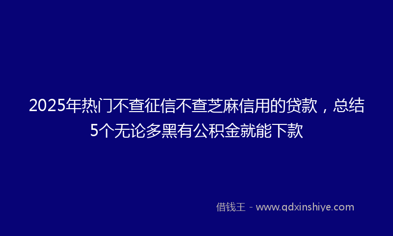 2025年热门不查征信不查芝麻信用的贷款，总结5个无论多黑有公积金就能下款