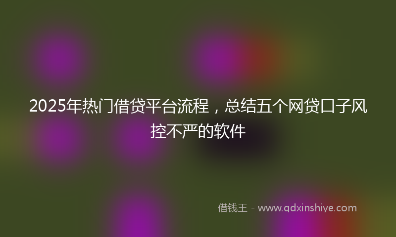 2025年热门借贷平台流程，总结五个网贷口子风控不严的软件