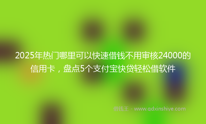 2025年热门哪里可以快速借钱不用审核24000的信用卡，盘点5个支付宝快贷轻松借软件