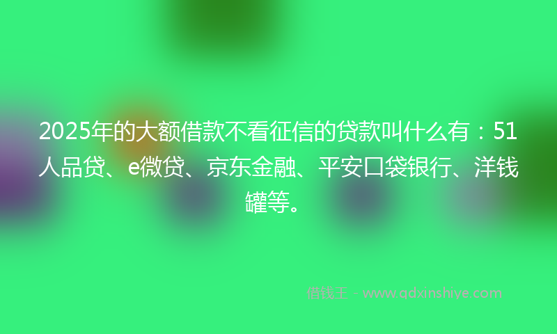 2025年的大额借款不看征信的贷款叫什么有：51人品贷、e微贷、京东金融、平安口袋银行、洋钱罐等。