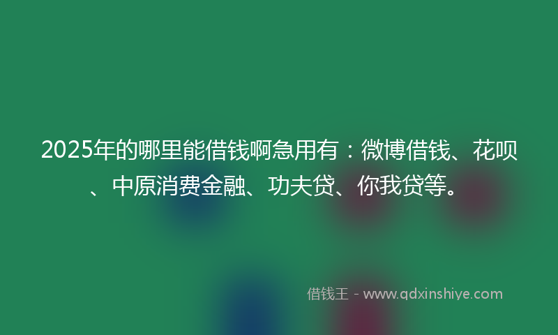 2025年的哪里能借钱啊急用有：微博借钱、花呗、中原消费金融、功夫贷、你我贷等。