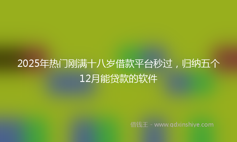 2025年热门刚满十八岁借款平台秒过，归纳五个12月能贷款的软件