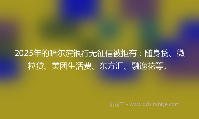 2025年的哈尔滨银行无征信被拒有：随身贷、微粒贷、美团生活费、东方汇、融逸花等。