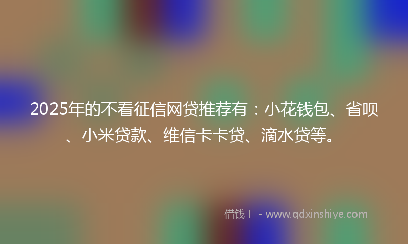 2025年的不看征信网贷推荐有：小花钱包、省呗、小米贷款、维信卡卡贷、滴水贷等。