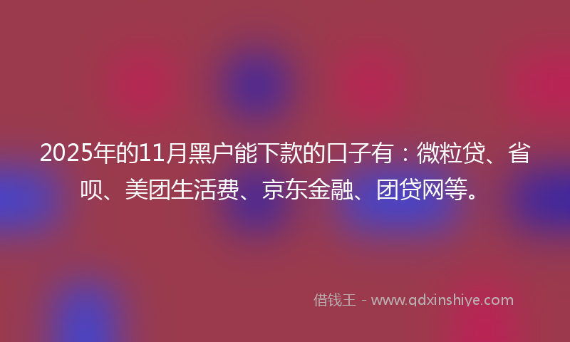 2025年的11月黑户能下款的口子有：微粒贷、省呗、美团生活费、京东金融、团贷网等。