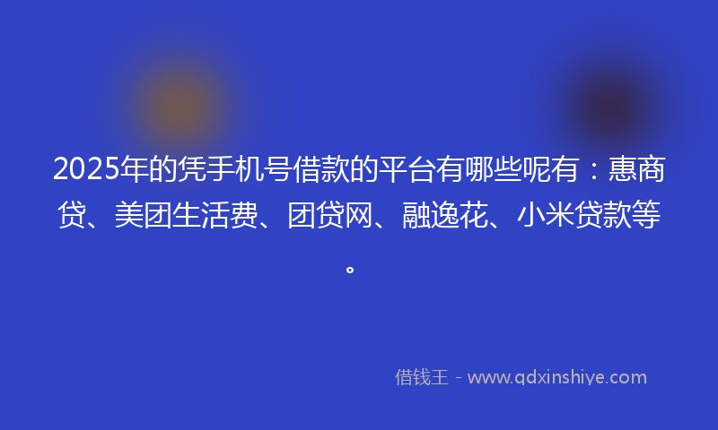 2025年的凭手机号借款的平台有哪些呢有：惠商贷、美团生活费、团贷网、融逸花、小米贷款等。