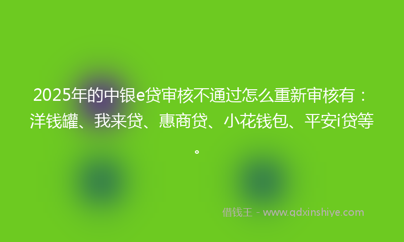 2025年的中银e贷审核不通过怎么重新审核有：洋钱罐、我来贷、惠商贷、小花钱包、平安i贷等。