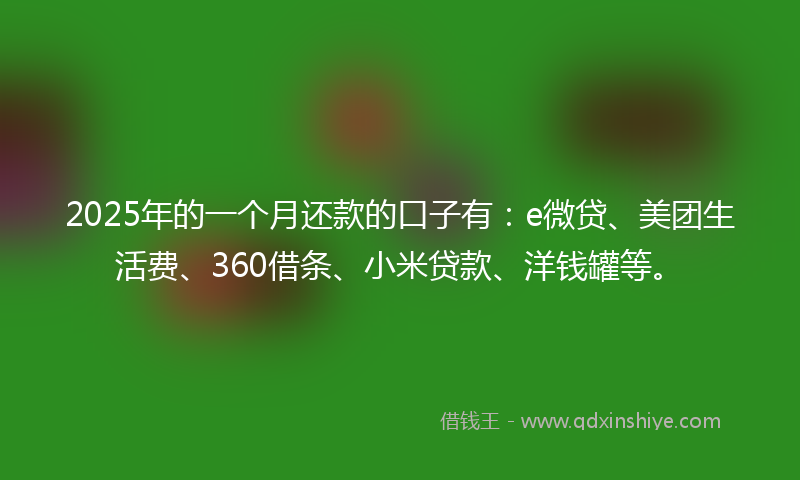 2025年的一个月还款的口子有：e微贷、美团生活费、360借条、小米贷款、洋钱罐等。