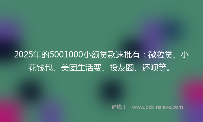 2025年的5001000小额贷款速批有：微粒贷、小花钱包、美团生活费、投友圈、还呗等。