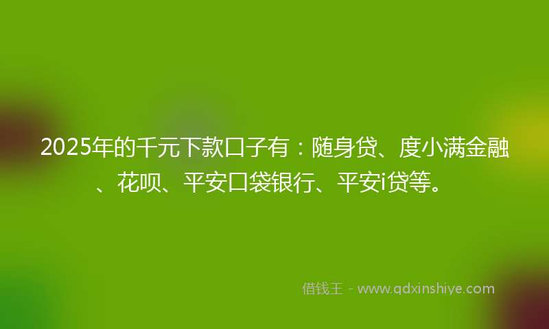2025年的千元下款口子有：随身贷、度小满金融、花呗、平安口袋银行、平安i贷等。