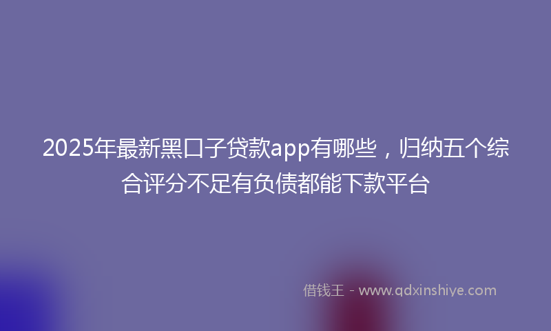 2025年最新黑口子贷款app有哪些，归纳五个综合评分不足有负债都能下款平台