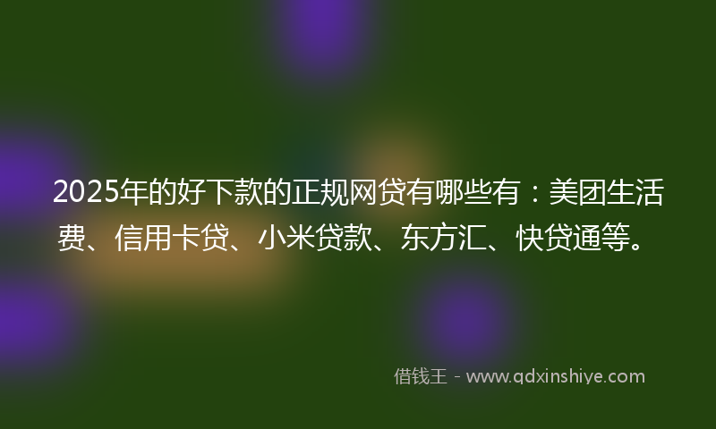 2025年的好下款的正规网贷有哪些有：美团生活费、信用卡贷、小米贷款、东方汇、快贷通等。