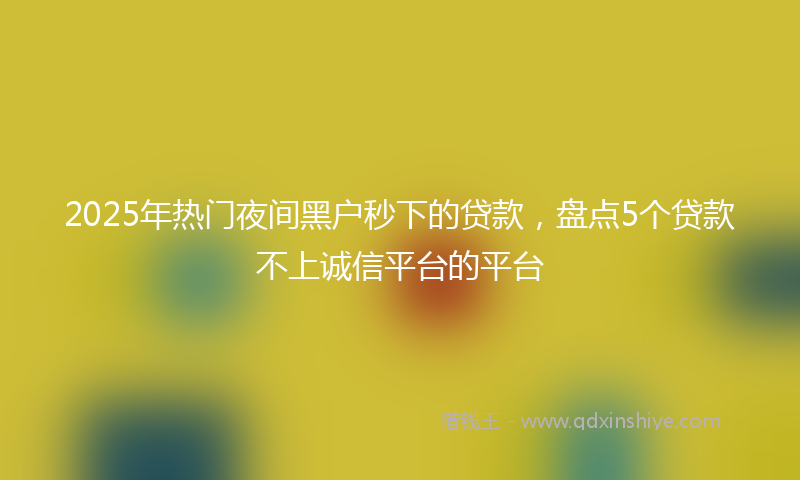 2025年热门夜间黑户秒下的贷款，盘点5个贷款不上诚信平台的平台