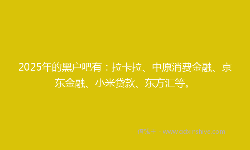 2025年的黑户吧有：拉卡拉、中原消费金融、京东金融、小米贷款、东方汇等。