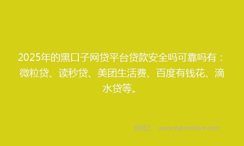 2025年的黑口子网贷平台贷款安全吗可靠吗有：微粒贷、读秒贷、美团生活费、百度有钱花、滴水贷等。