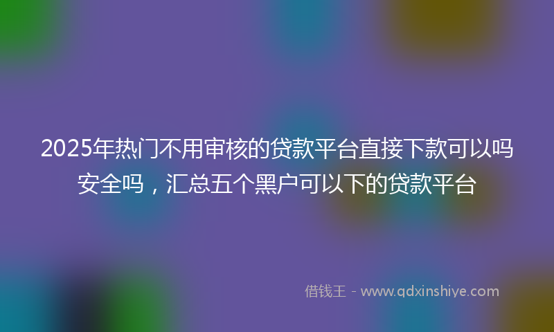 2025年热门不用审核的贷款平台直接下款可以吗安全吗，汇总五个黑户可以下的贷款平台