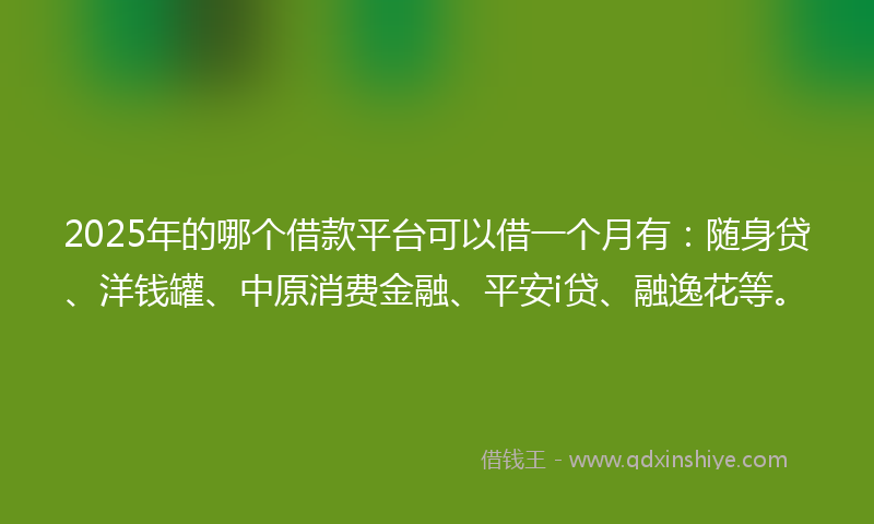 2025年的哪个借款平台可以借一个月有：随身贷、洋钱罐、中原消费金融、平安i贷、融逸花等。