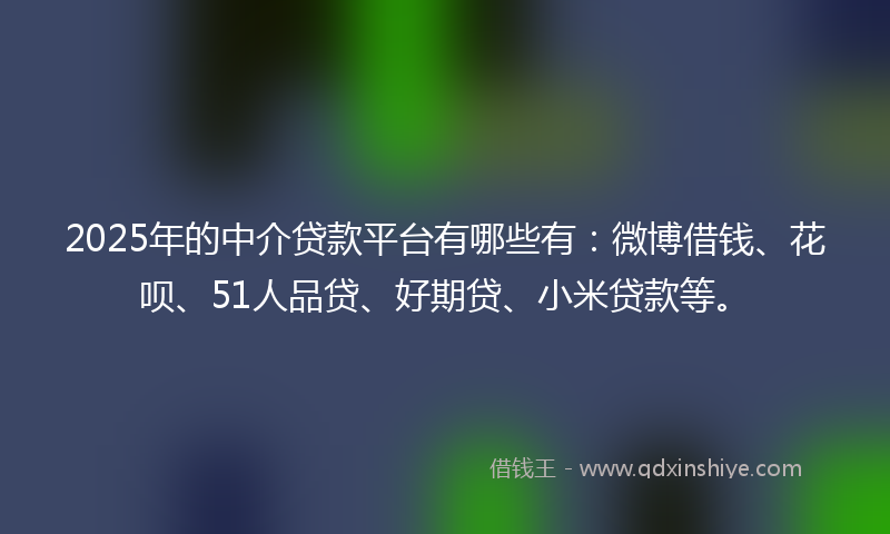 2025年的中介贷款平台有哪些有：微博借钱、花呗、51人品贷、好期贷、小米贷款等。